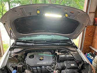 <h2>Loved by everyone, everywhere. Don't miss out.</h2>