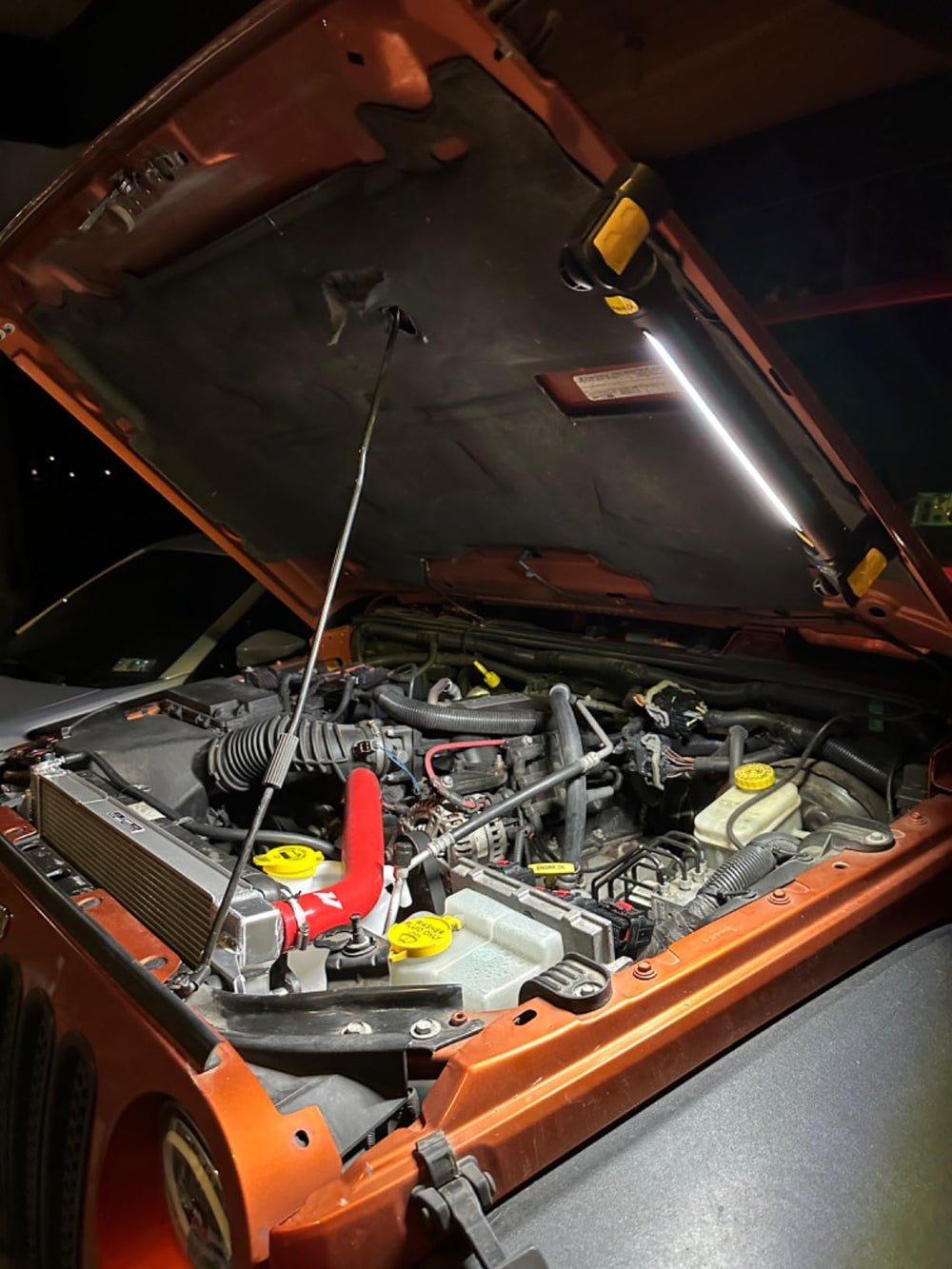 <h2>Loved by everyone, everywhere. Don't miss out.</h2>