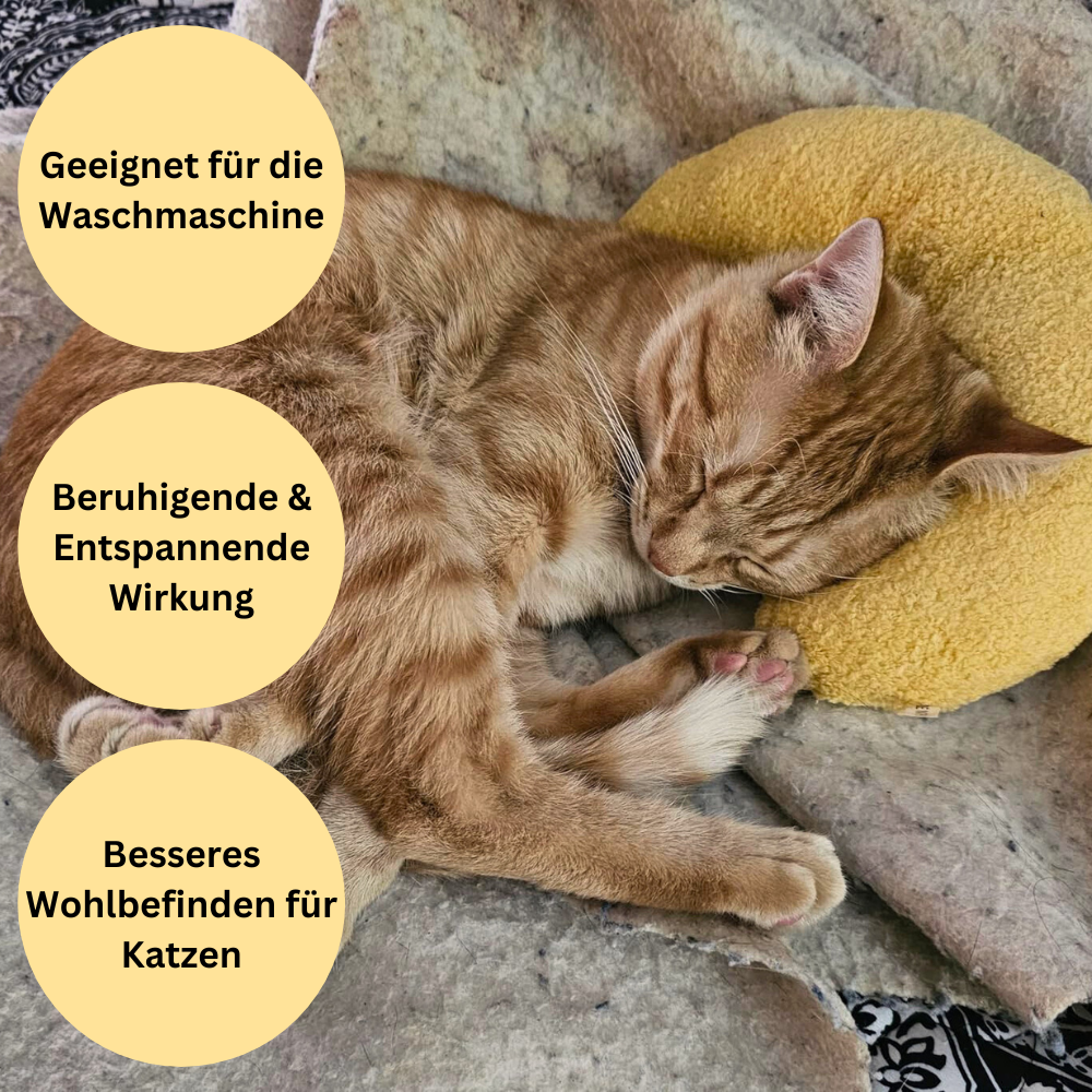 KatzenKissen™ - Das Beruhigungs-Kissen Für Deine Katze